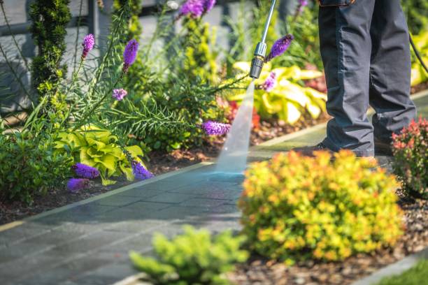 Best Fence Cleaning and Maintenance in Chattanoo Valley, GA